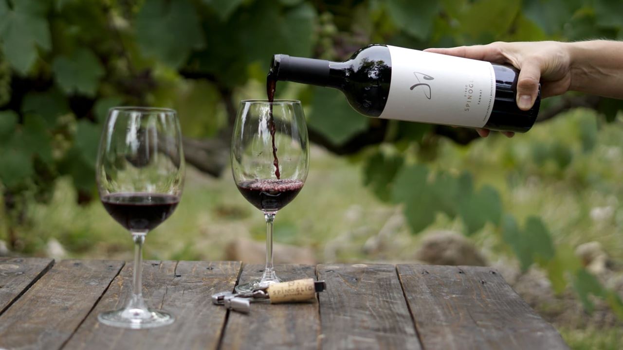 Experiencia Maridaje En Bodega Spinoglio (4)
