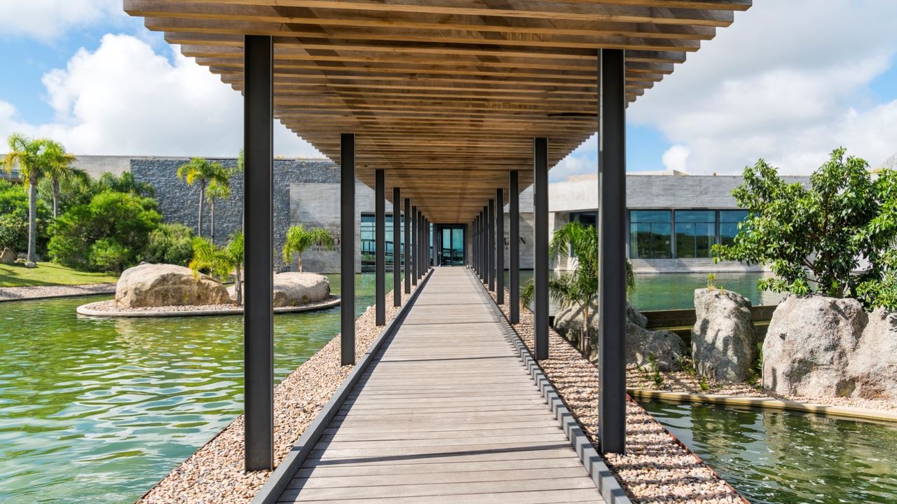 Premium Experience At Bodega Garzón foto 3