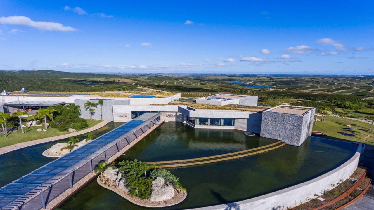 Premium Experience At Bodega Garzón foto 1