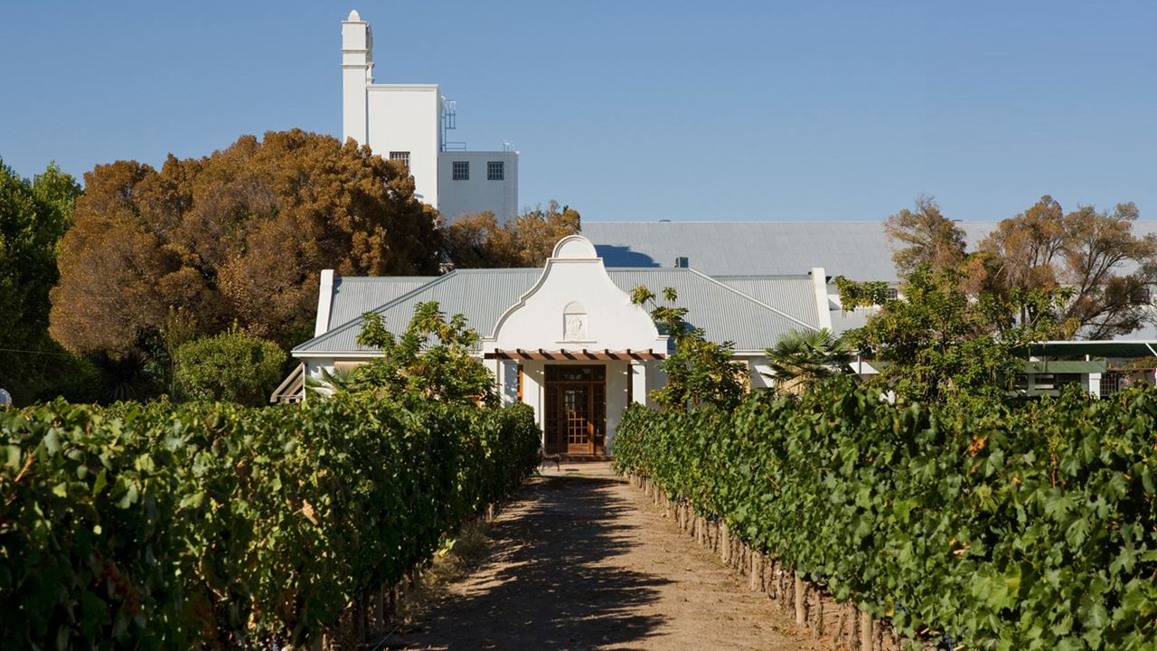 Experiencia Privada De Cata En Bodegas De Luján De Cuyo (6)