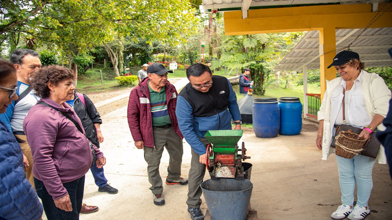 Finca El Ocaso: Coffee Tour With Jeep Willys, Harvesting And Coffee Tasting
 foto 6