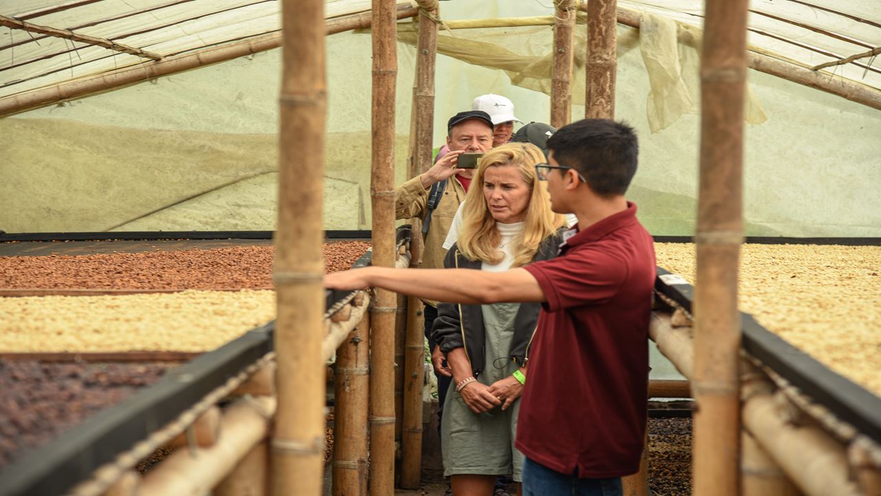 Finca El Ocaso: Coffee Tour With Jeep Willys, Harvesting And Coffee Tasting
 foto 3