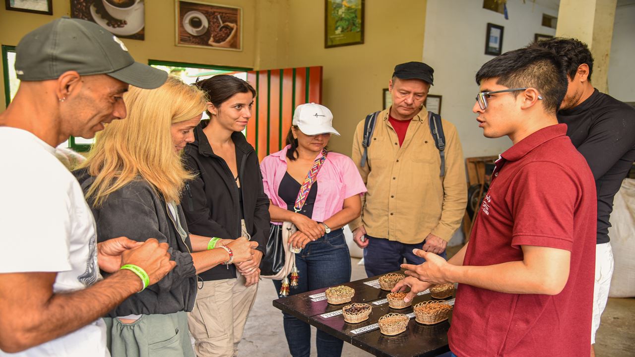 Finca El Ocaso: Coffee Tour With Jeep Willys, Harvesting And Coffee Tasting
 foto 12