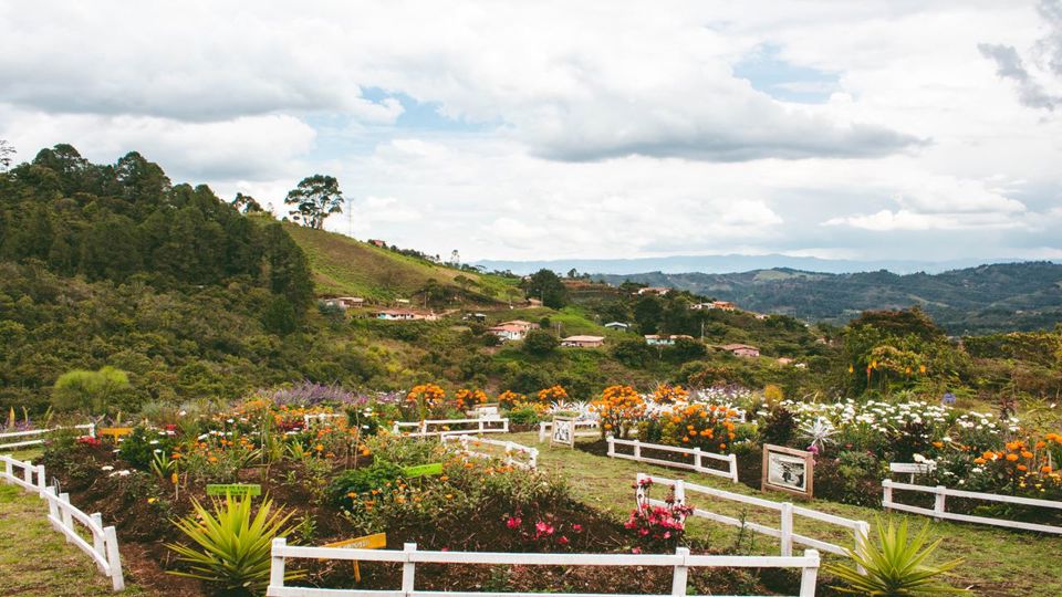 Floricultura Y Tradición Silletera En Santa Elena foto 3
