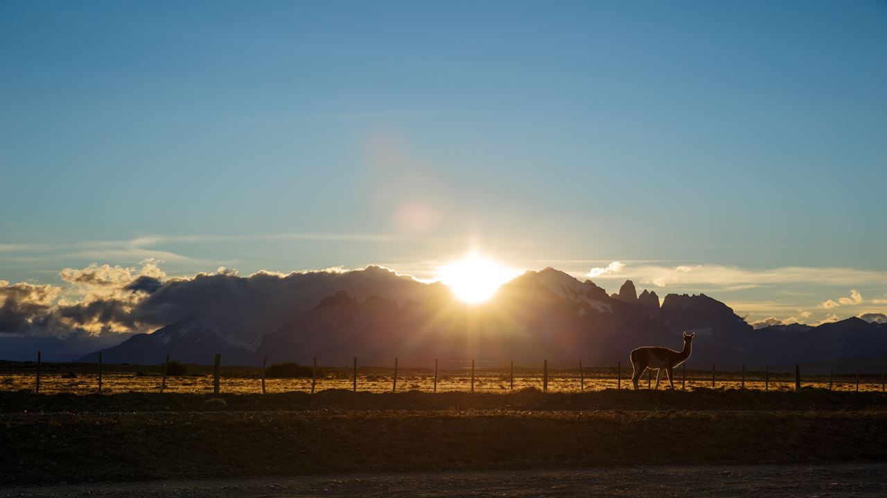 Passeio De Dia Inteiro Torres Del Paine E Caverna Milodón foto 7