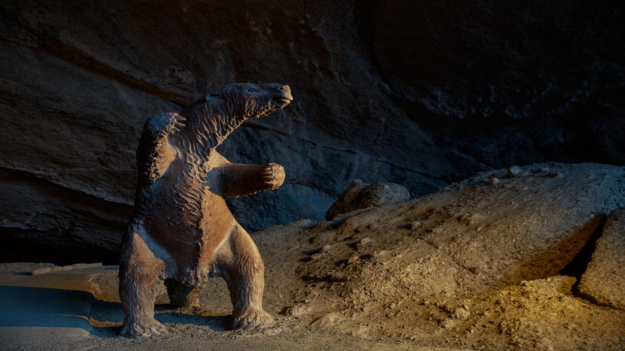 Passeio De Dia Inteiro Torres Del Paine E Caverna Milodón foto 9