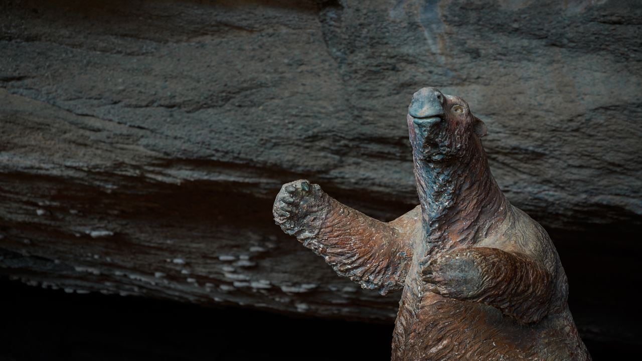 Passeio De Dia Inteiro Torres Del Paine E Caverna Milodón foto 10