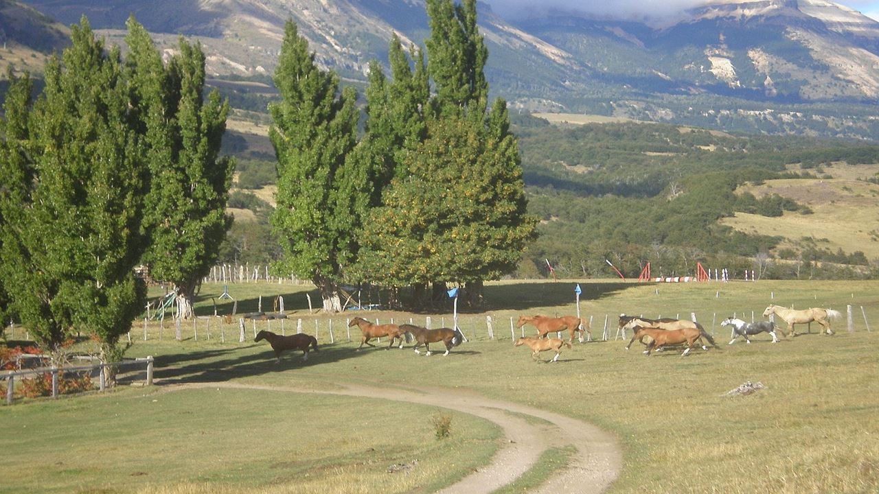Gaucho Patagon Tradiciones Campestres En Coyhaique foto 1