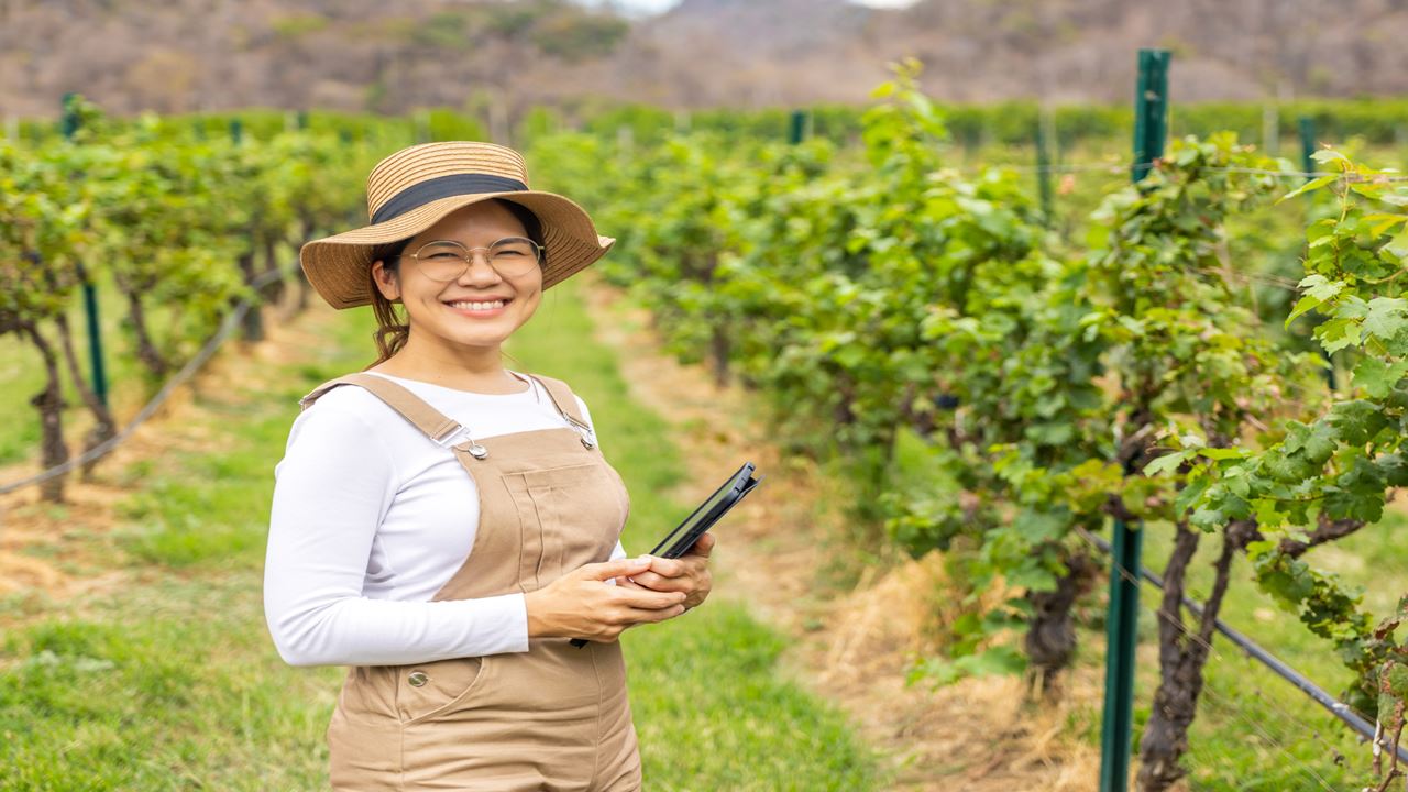 Hacienda Paraíso E A Rota Do Vinho foto 6