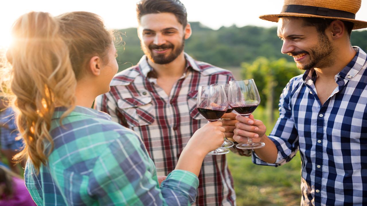 Hacienda Paraíso E A Rota Do Vinho foto 5