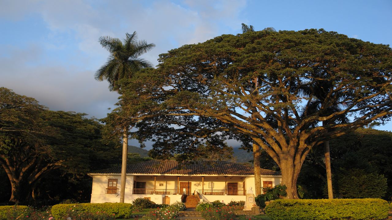 Passeio A Pé Pelo Centro Histórico foto 5