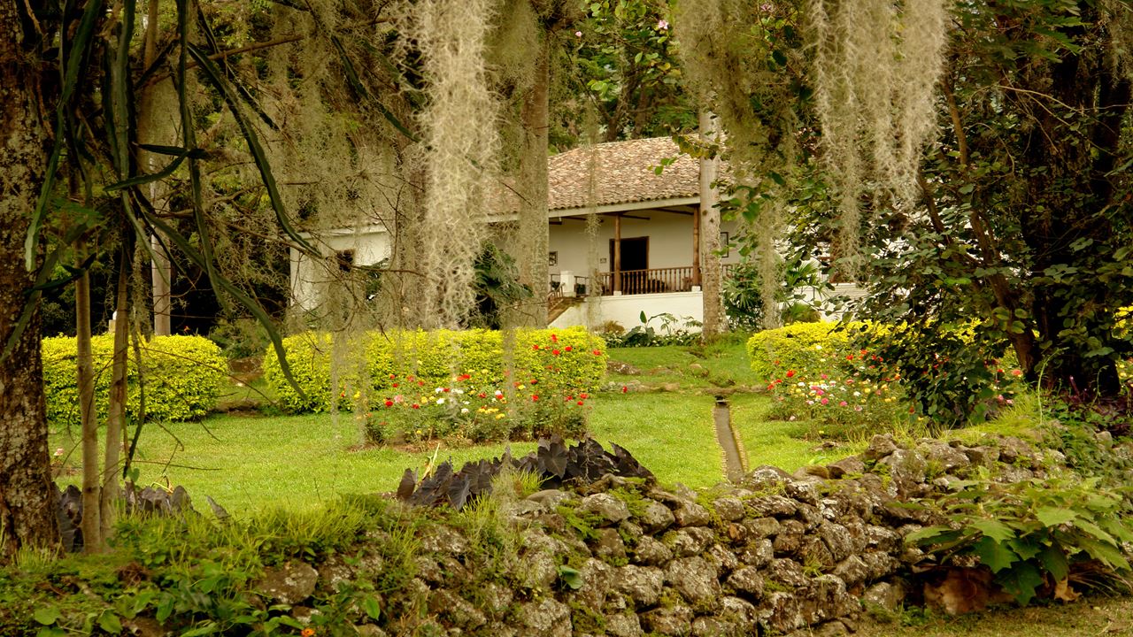 Passeio A Pé Pelo Centro Histórico foto 4