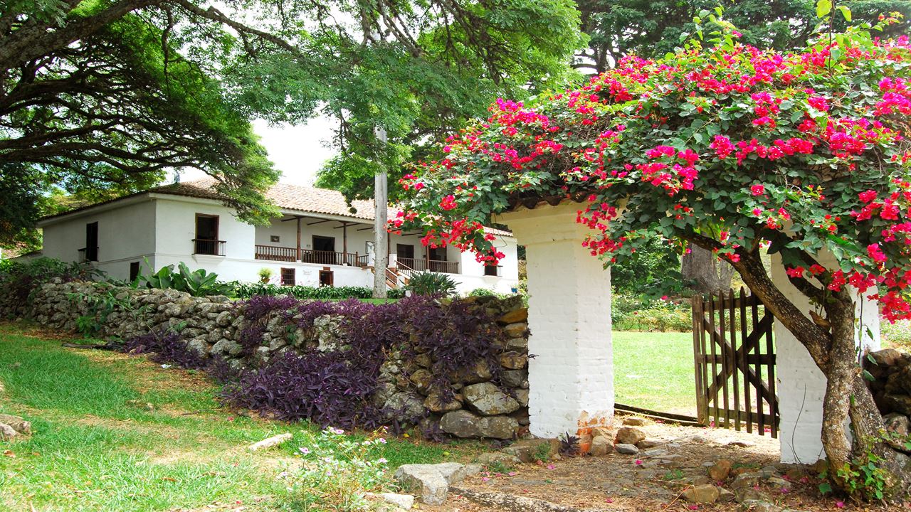 Passeio A Pé Pelo Centro Histórico foto 1