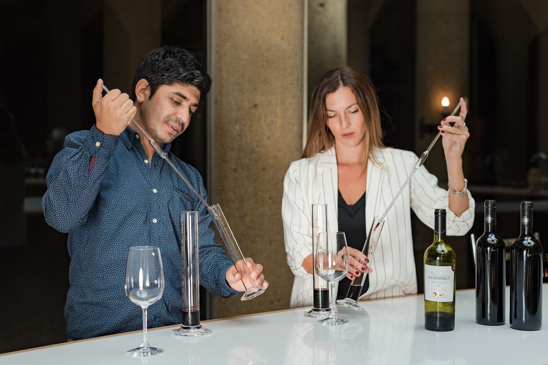 Haras De Pirque: Viña Orgánica & Cata De Vinos Icono (6)