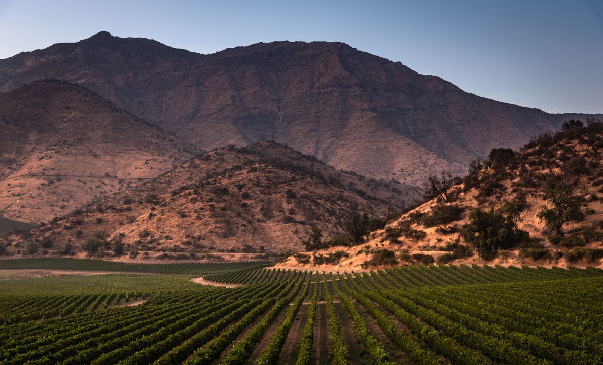 Haras De Pirque: Viña Orgánica & Cata De Vinos Icono (4)