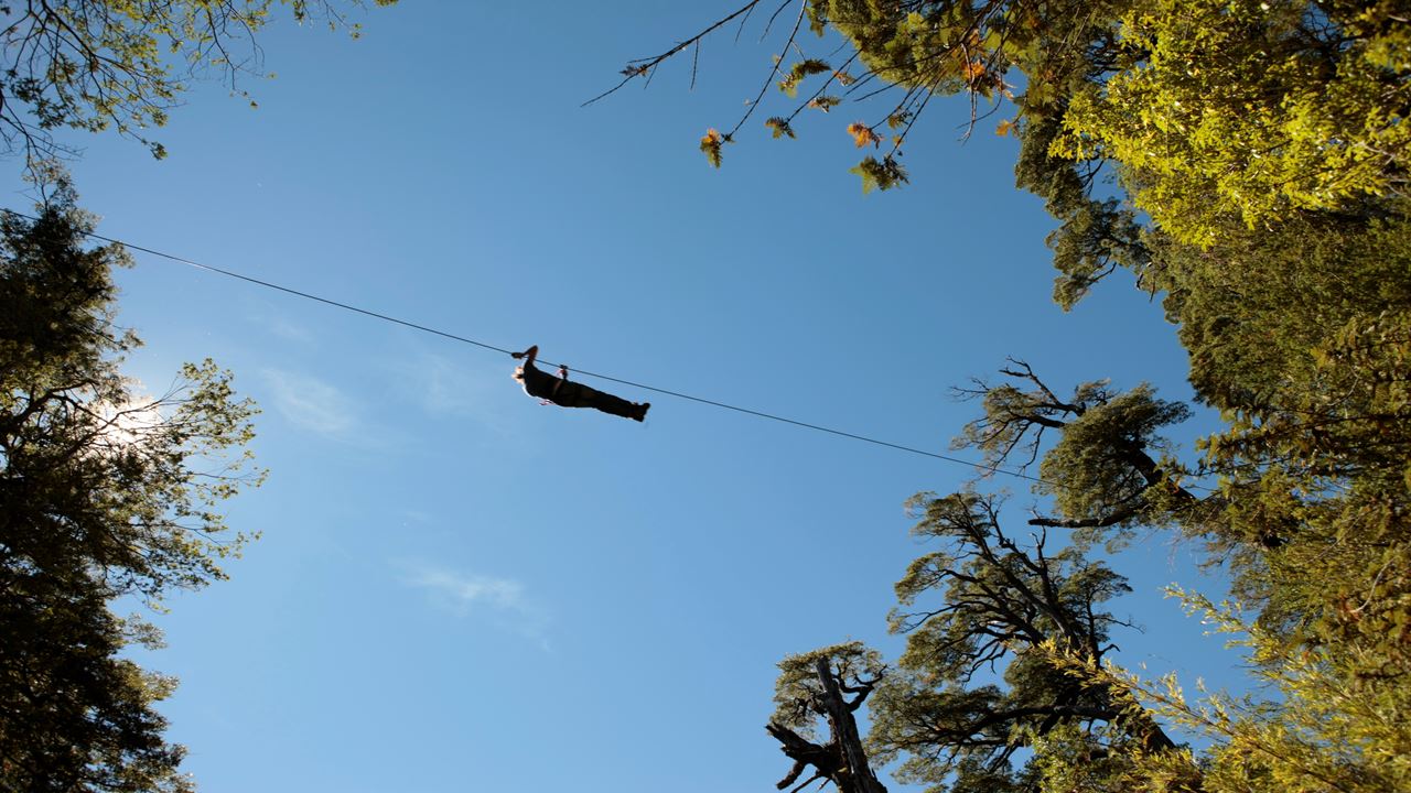 Huilo Huilo Biological Reserve From Pucon foto 6