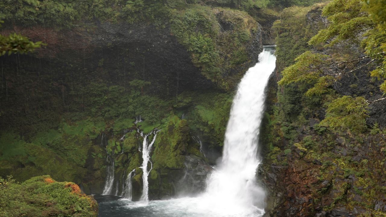 Huilo Huilo Biological Reserve From Pucon foto 4