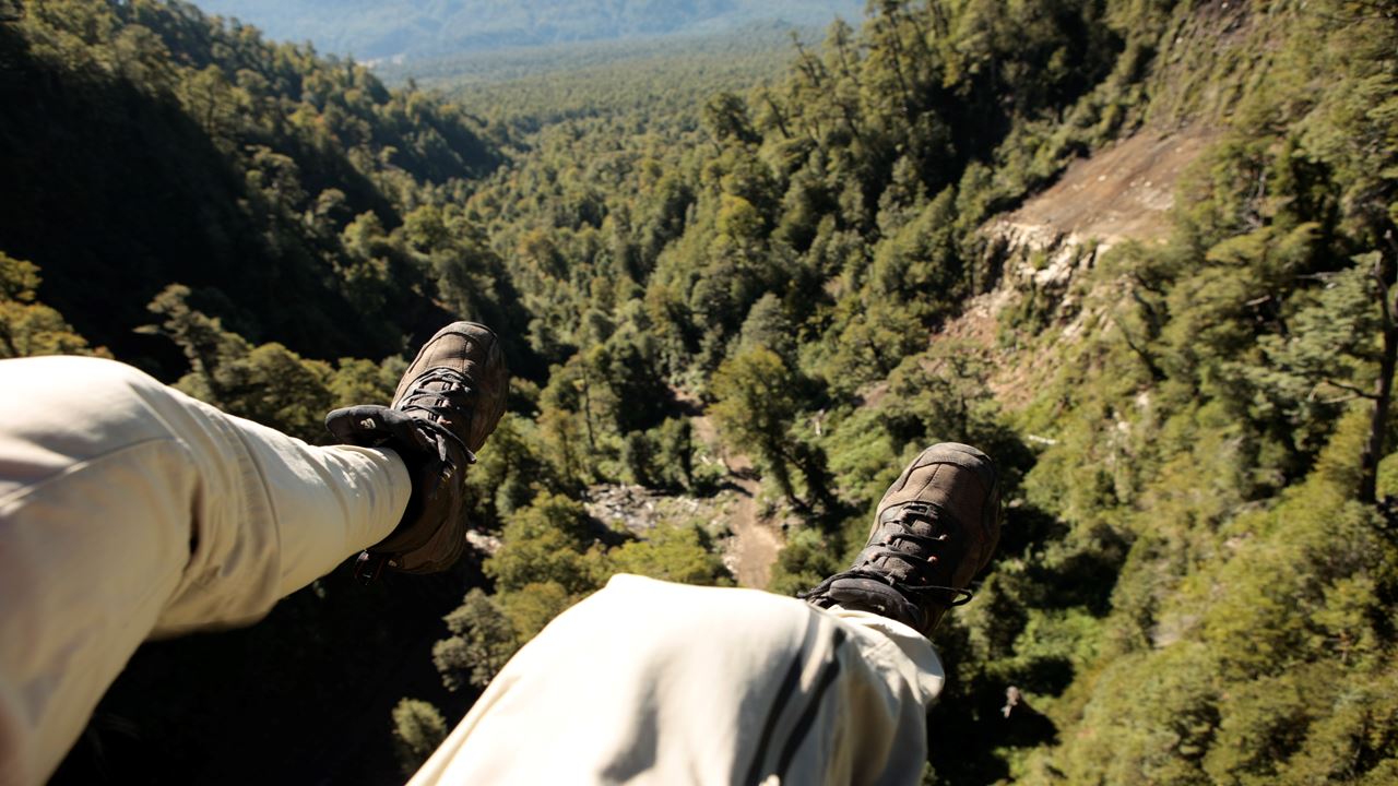 Huilo Huilo Biological Reserve From Pucon foto 2