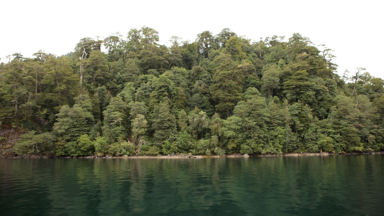 Huilo Huilo Biological Reserve From Pucon foto 3