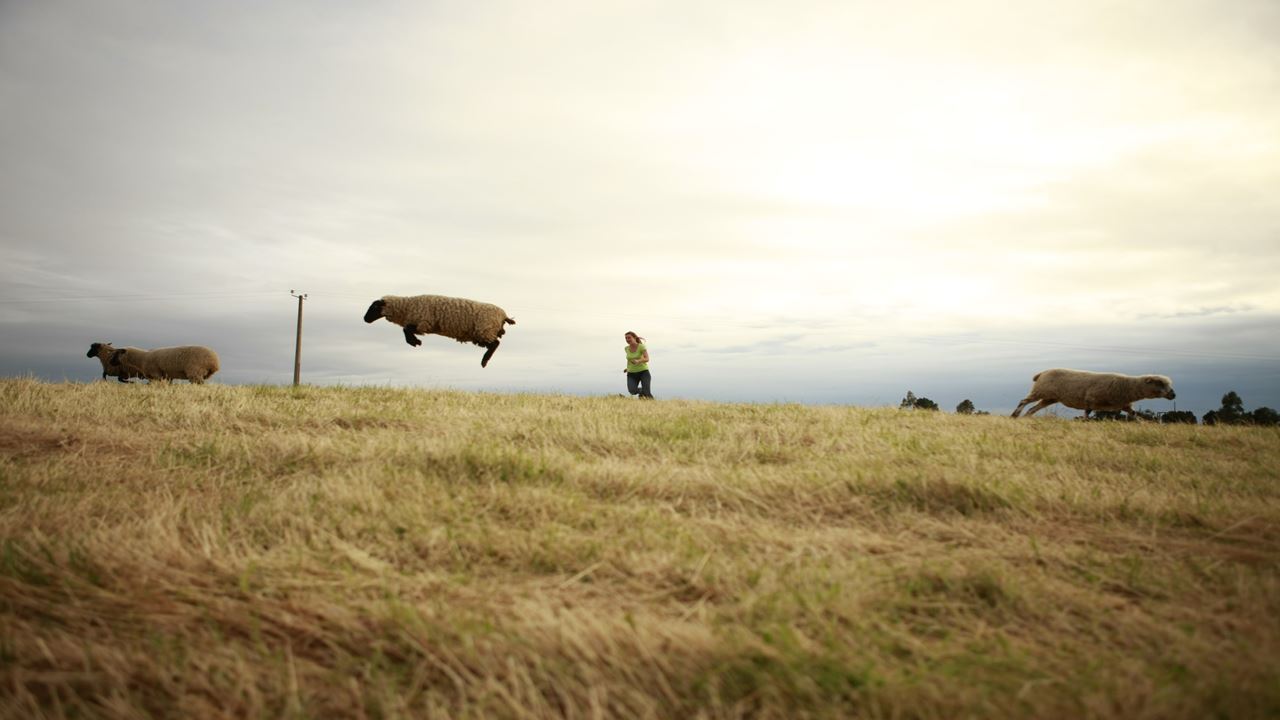 Island Of Navigating Souls: San Juan, Tenaun, Colo, Aucar Quemchi foto 6