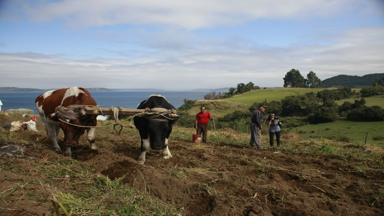 Island Of Navigating Souls: San Juan, Tenaun, Colo, Aucar Quemchi foto 16