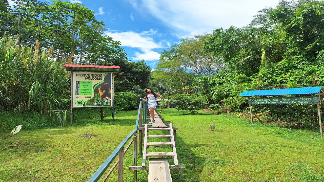 Monkey Island foto 1