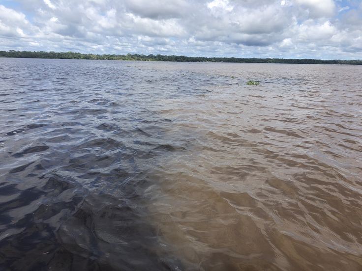 Monkey Island foto 7