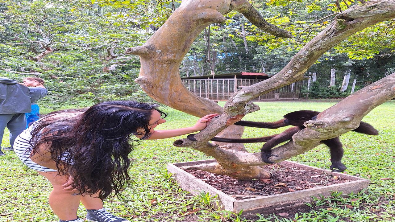 Monkey Island foto 4