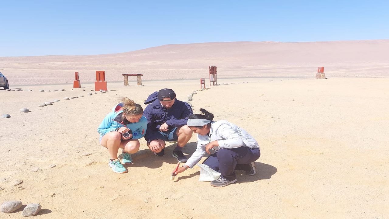 Ilhas Ballestas E Reserva Nacional De Puerto San Martin foto 12