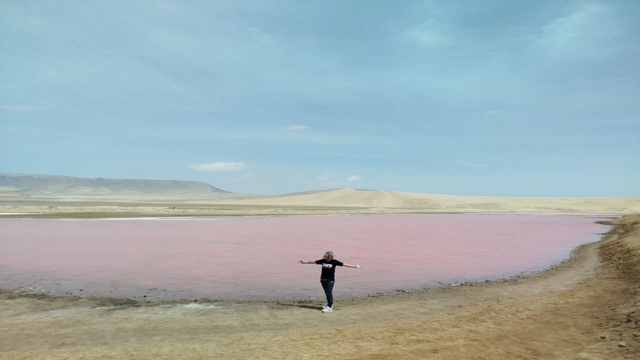 Ilhas Ballestas E Reserva Nacional De Puerto San Martin foto 2