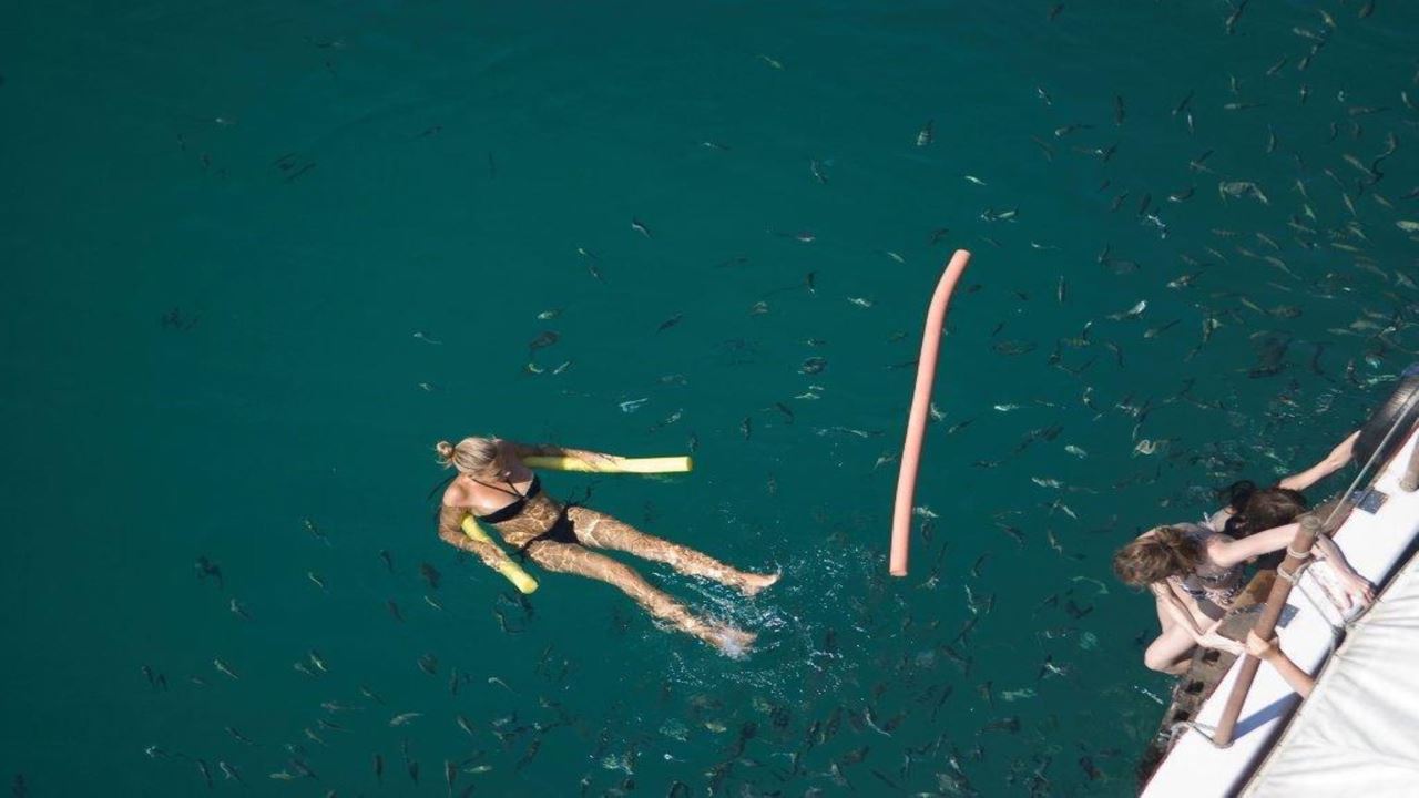 Islas Paraísicas De Paraty foto 10