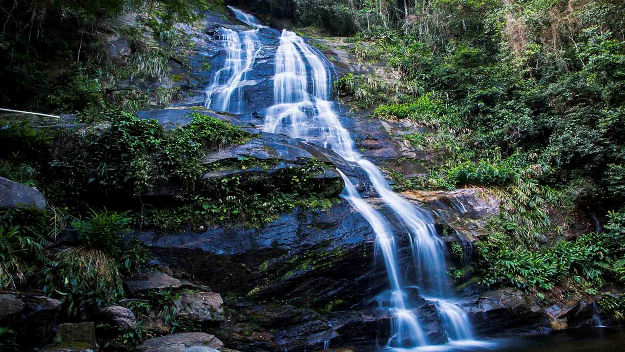 Jeep Tour Tijuca Forest (3)
