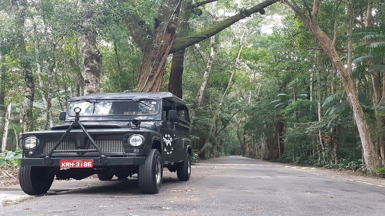 Jeep Tour Tijuca Forest (4)