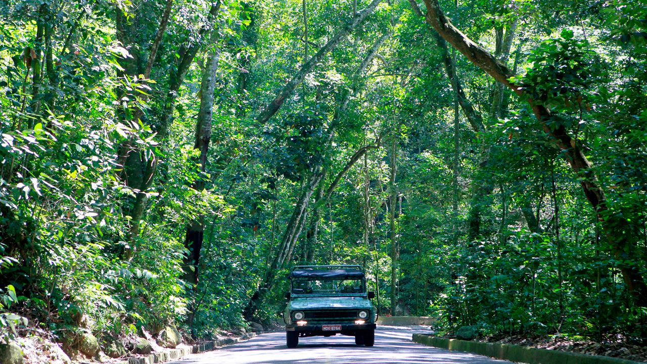 Jeep Tour Tijuca Forest (1)