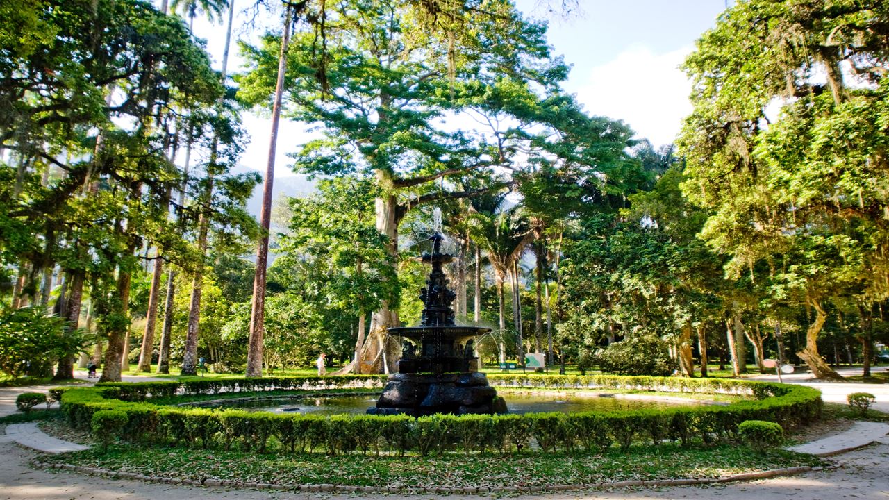 Jeep Tour Floresta Da Tijuca + Botanical Garden (8)