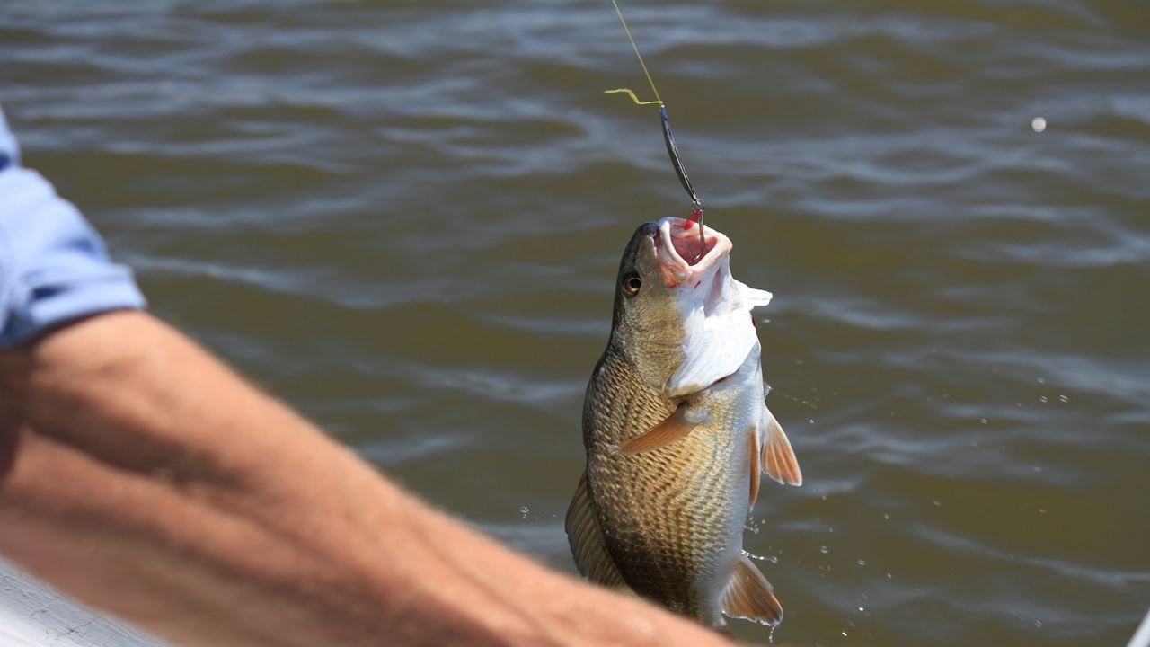 Dia De Pesca Com Mosca (4)
