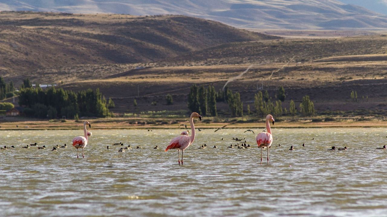 Caiaque Em El Calafate (2)