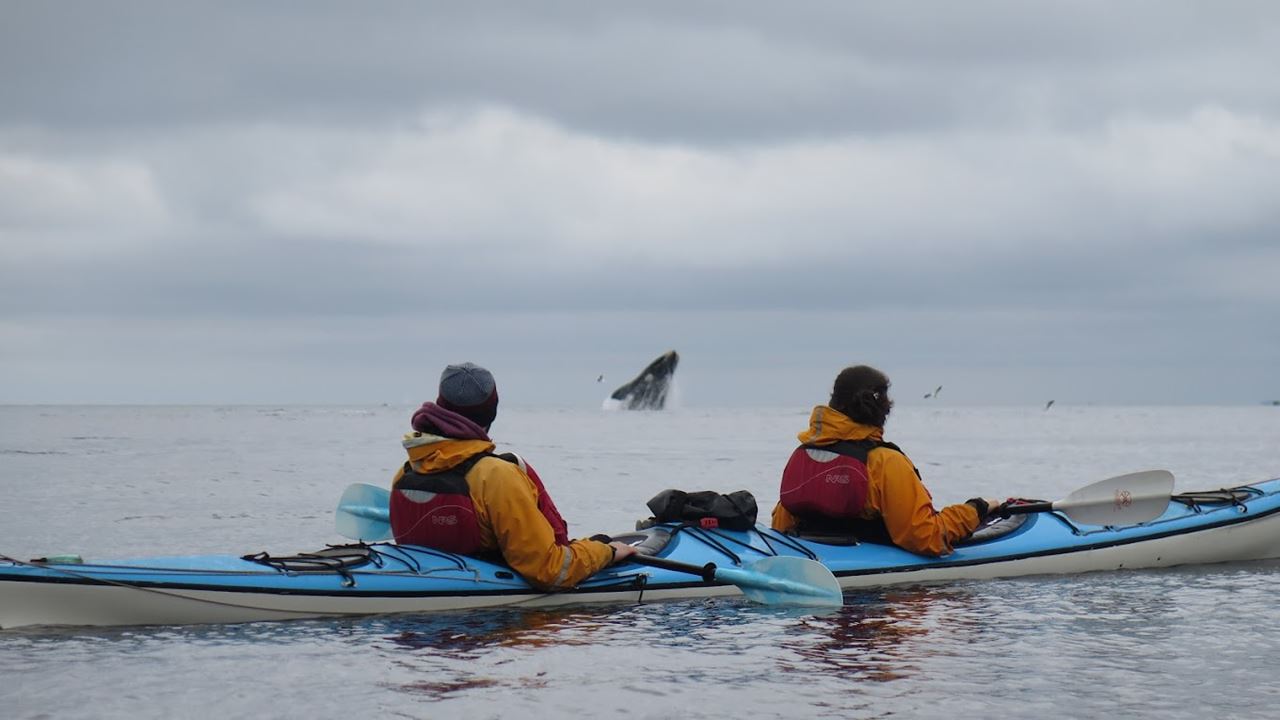 Caiaque Pelo Golfo De San Jose foto 2