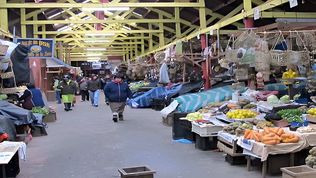 A Rota Pulmay: Sabores Chilote foto 3