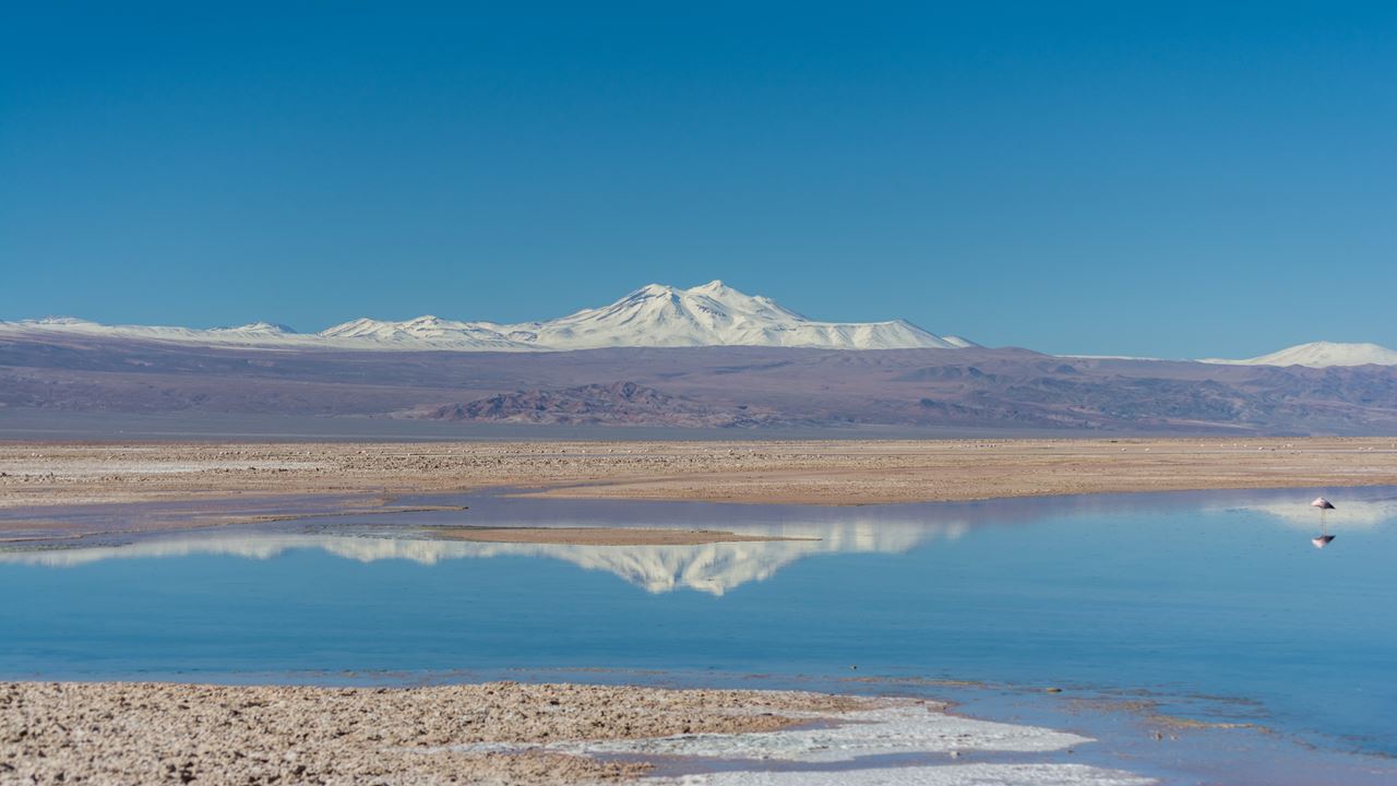 Altiplano Lagoons, Atacama Salt Flats And Piedras Rojas (4)