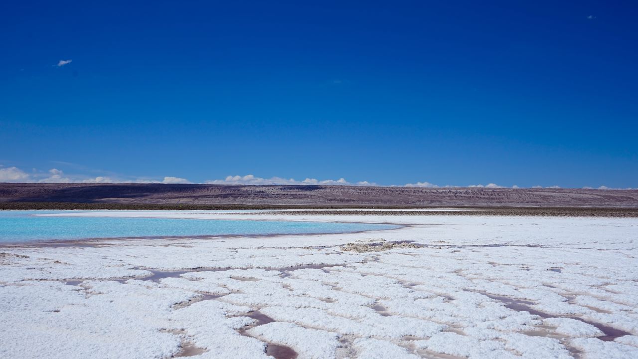 Altiplano Lagoons, Atacama Salt Flats And Piedras Rojas (5)