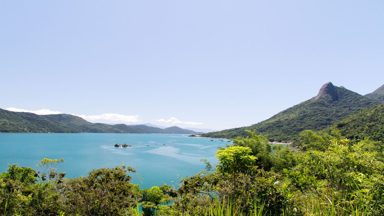Lancha Rápida Pelo Saco Do Mamanguá foto 4