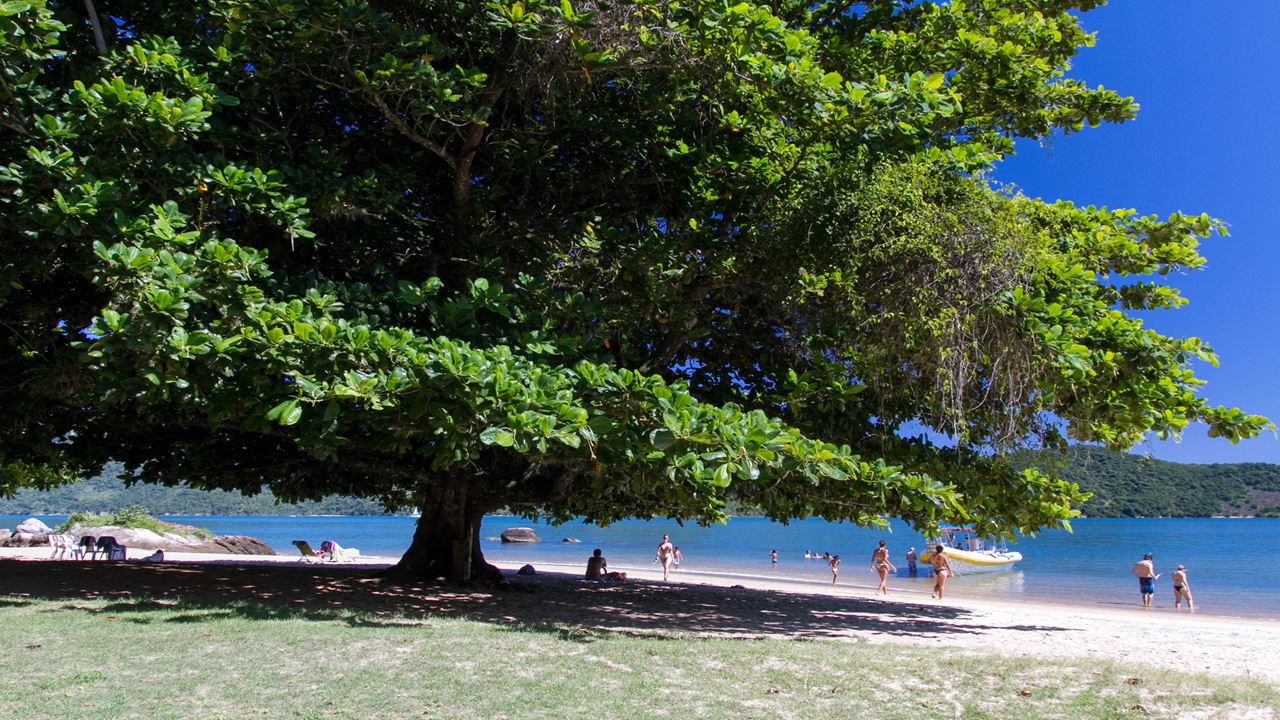 Lancha Rápida Pelo Saco Do Mamanguá foto 1