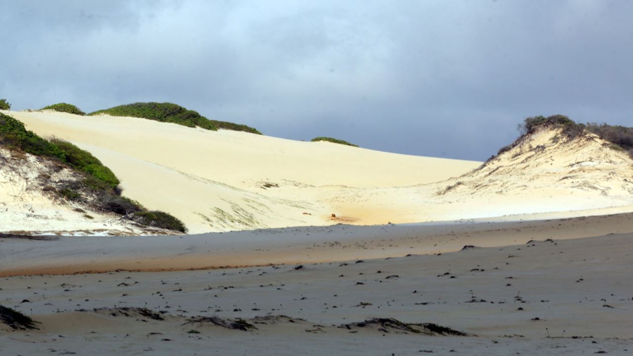 Litoral Sul Vip - Off Road 4x4 foto 3