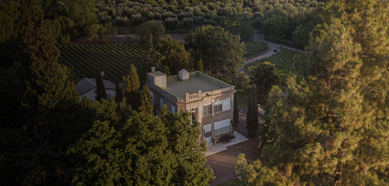 Luigi Bosca Vineyard Visit And Wine Tasting (0)