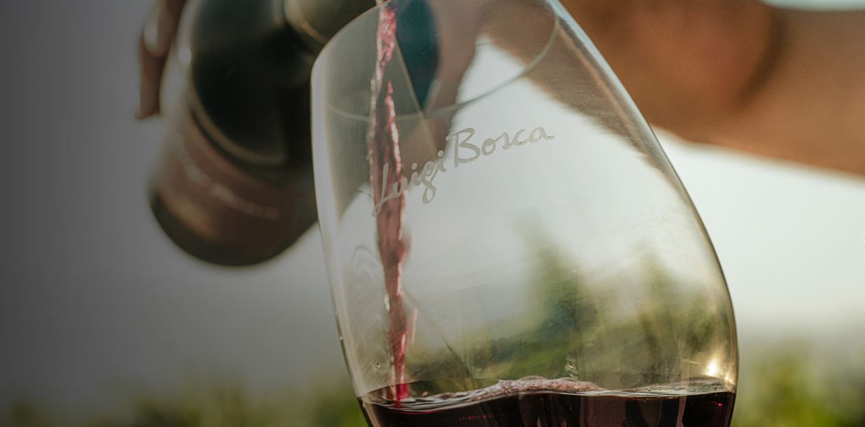 Luigi Bosca Vineyard Visit And Wine Tasting (2)