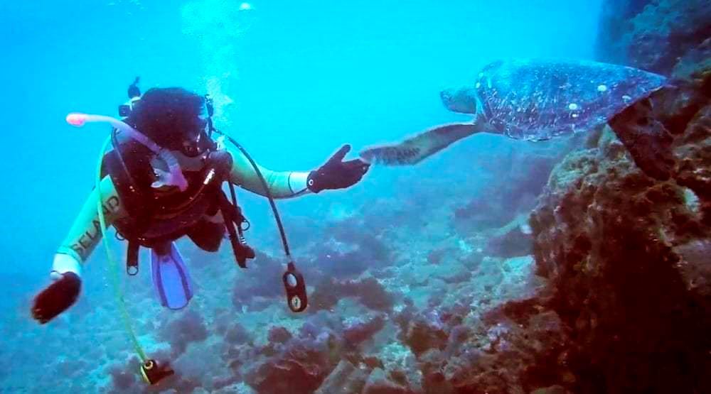 Machalilla: Snorkeling, Kayaking, Bird Watching And Introductory Diving foto 2