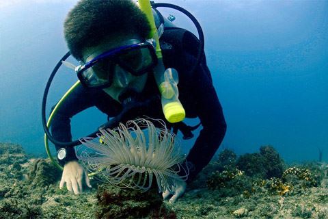 Machalilla: Snorkeling, Kayaking, Bird Watching And Introductory Diving foto 1