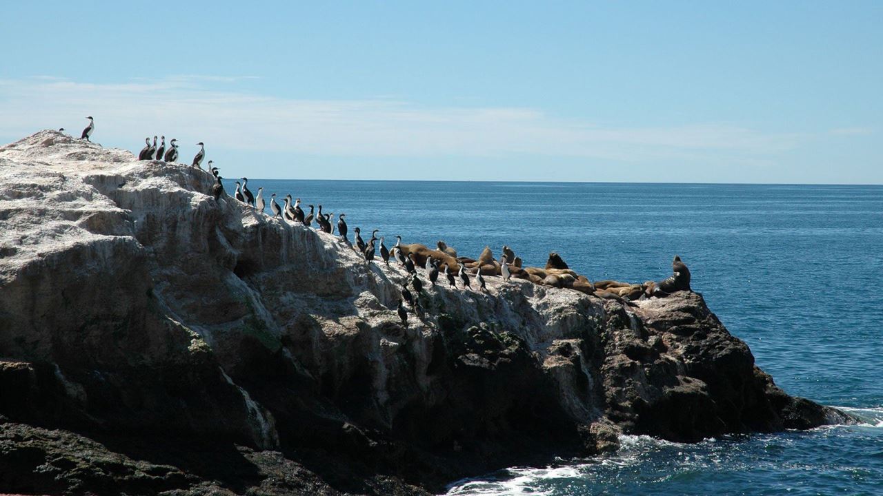 Madryn E Península Valdés foto 4