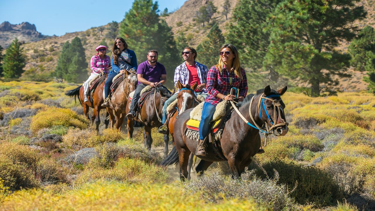 Medio Dia En El Campo Con Cabalgata Y Asado (4)